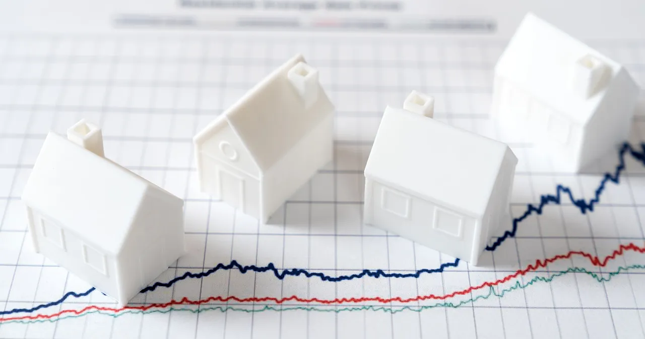 Evaluating Industry Dynamics and Investment Opportunities in Single-Family Rental Markets
